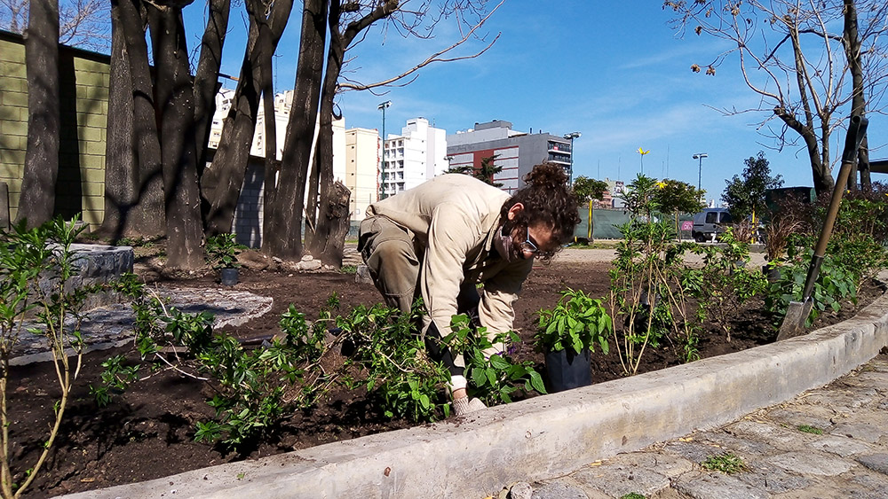 Jardín Urbano - Imágen de gelería